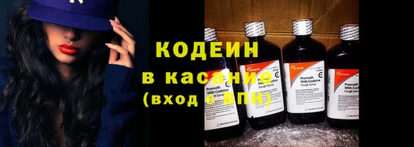 эйфоретик Вяземский