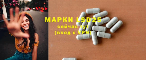 эйфоретик Вяземский