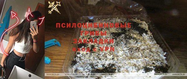эйфоретик Вяземский