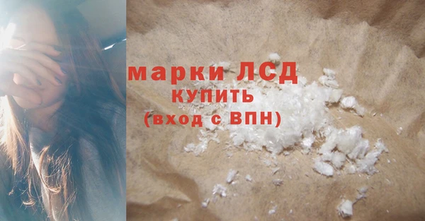 эйфоретик Вяземский