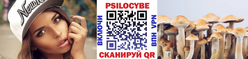 Псилоцибиновые грибы Cubensis  Инта 